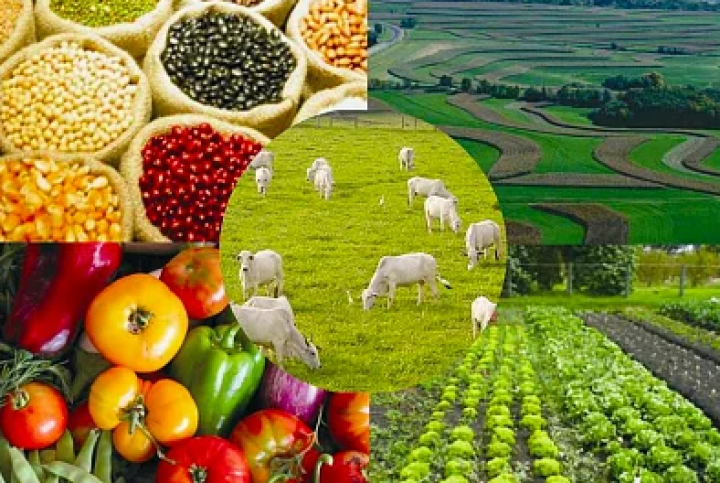 În 2023, producția agricolă în Moldova a crescut cu 23,6%