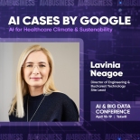 AI Cases by Google, Lavinia Neagoe  la AI & BIG Data Conference