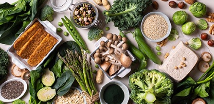  Насколько уместны вегетарианские диеты при активном образе жизни?